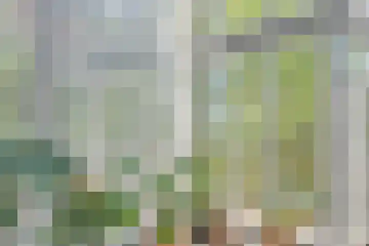 Ockenburghpark 11 Helmond thumbnail 15