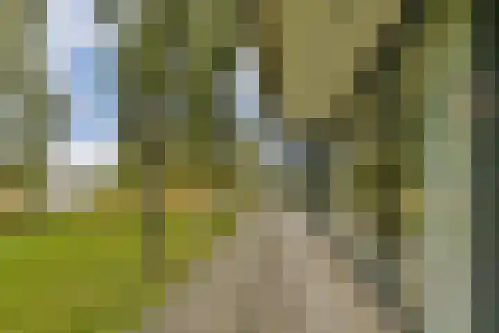 Ockenburghpark 11 Helmond thumbnail 34