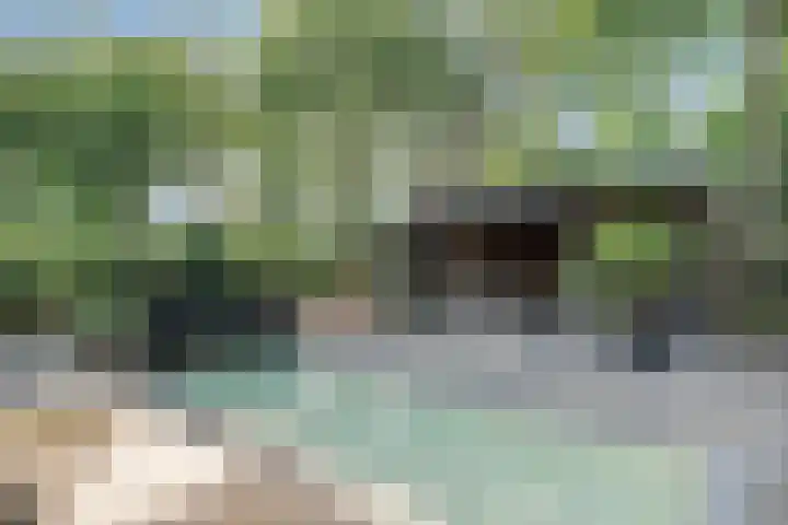 Ockenburghpark 11 Helmond thumbnail 47