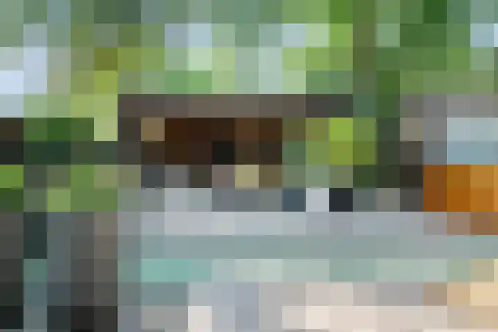 Ockenburghpark 11 Helmond thumbnail 48