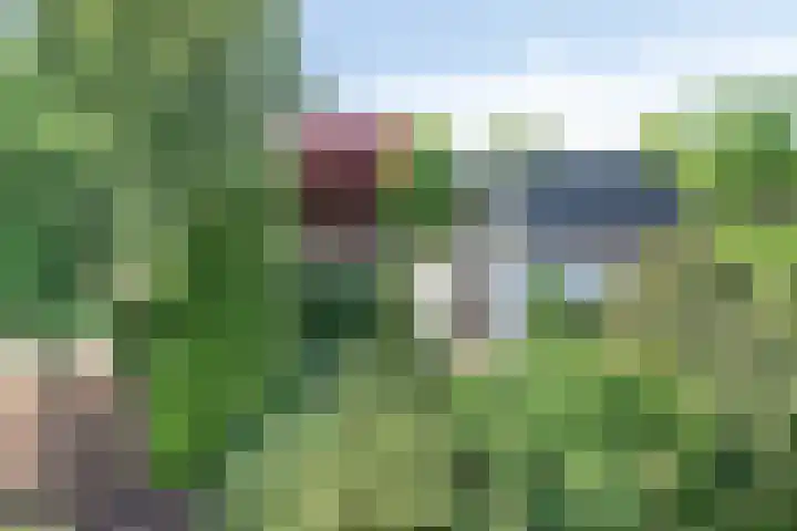Ockenburghpark 11 Helmond thumbnail 9