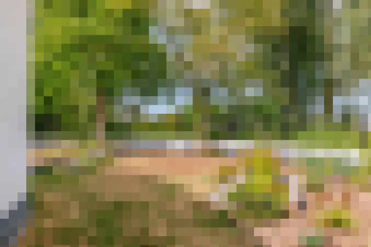 Ockenburghpark 17 Helmond thumbnail 53