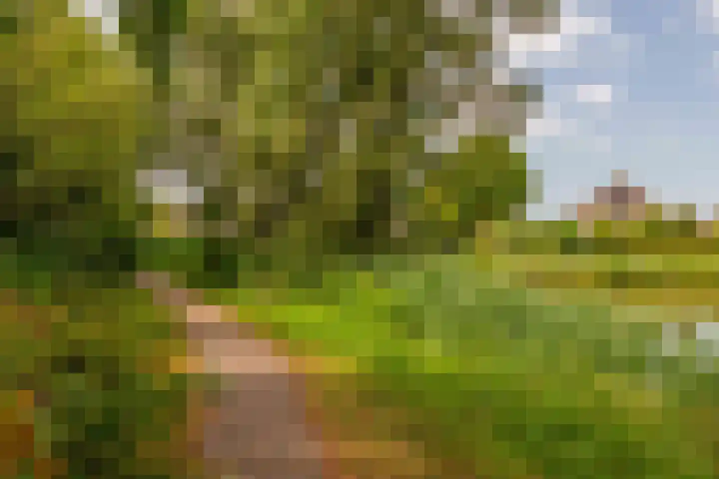 Ockenburghpark 17 Helmond thumbnail 66