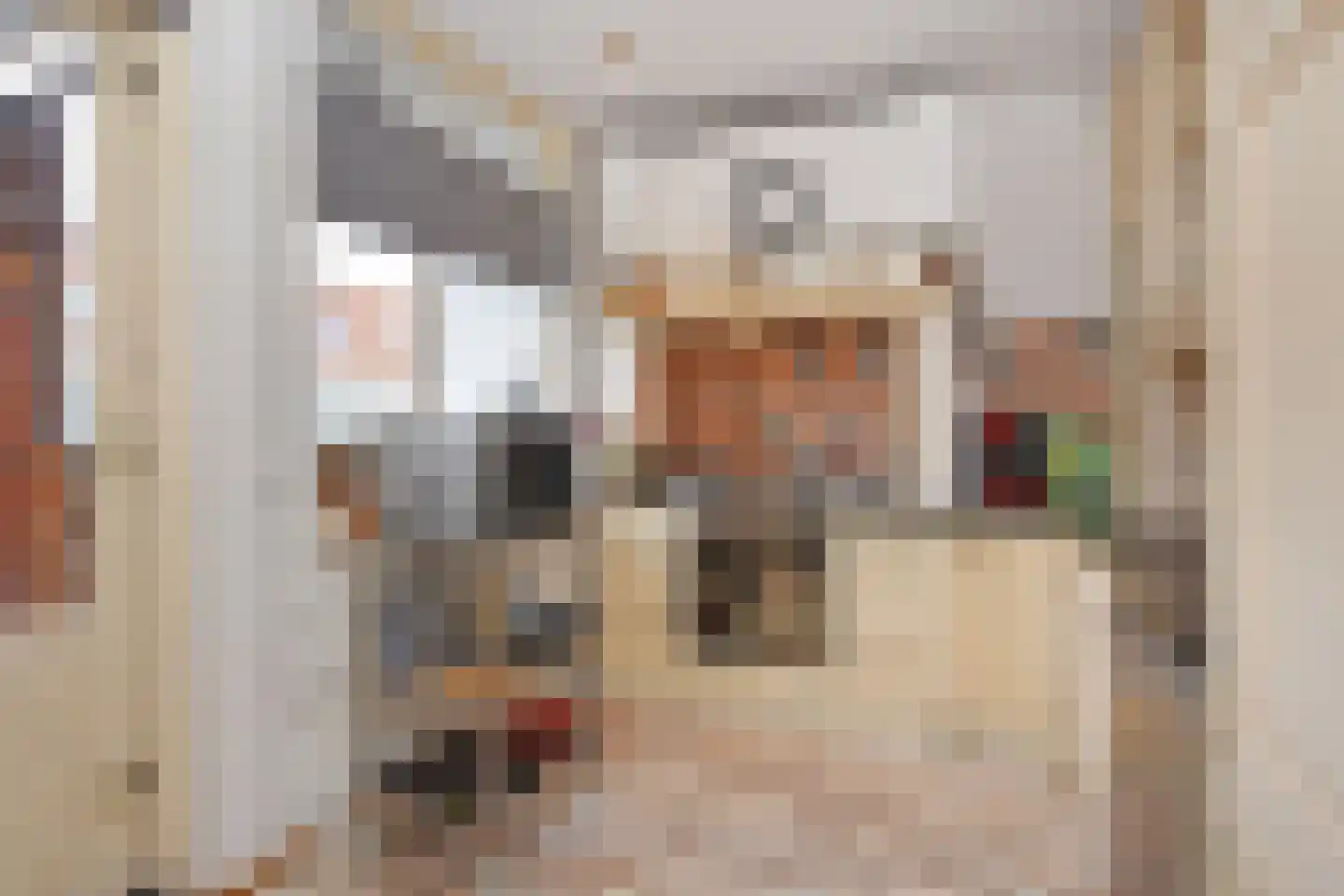 Ockenburghstraat 54 Den Haag thumbnail 11