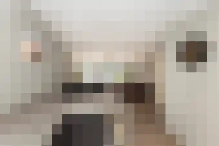 Ocker Repelaerstraat 44 Molenaarsgraaf thumbnail 11