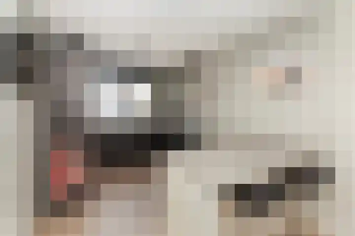 Ocker Repelaerstraat 44 Molenaarsgraaf thumbnail 12