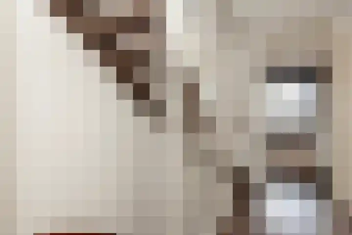 Ocker Repelaerstraat 44 Molenaarsgraaf thumbnail 15