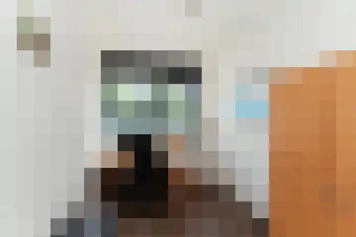 Ocker Repelaerstraat 44 Molenaarsgraaf thumbnail 19