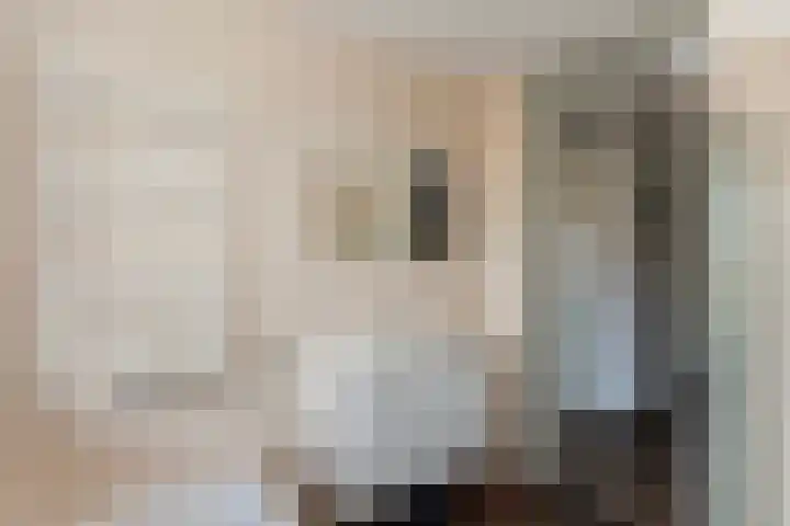 Ocker Repelaerstraat 44 Molenaarsgraaf thumbnail 23