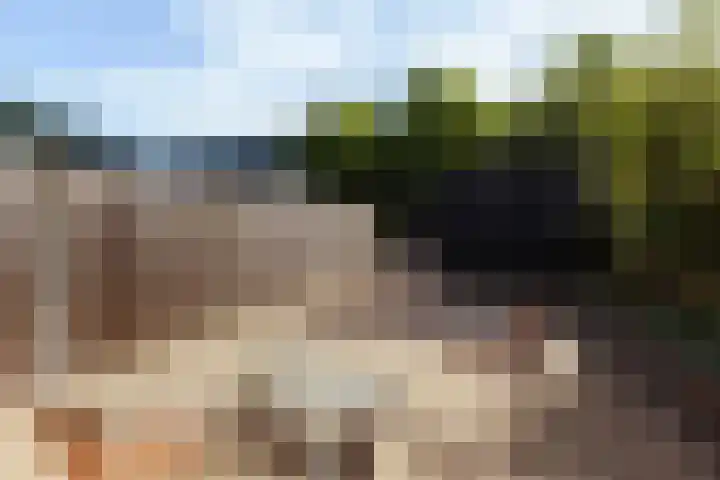 Ocker Repelaerstraat 44 Molenaarsgraaf thumbnail 30