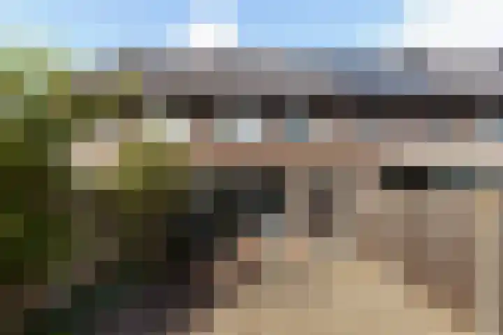 Ocker Repelaerstraat 44 Molenaarsgraaf thumbnail 32