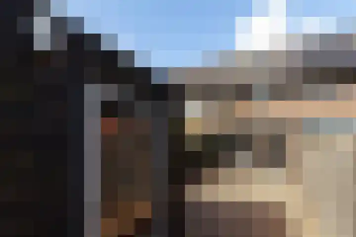 Ocker Repelaerstraat 44 Molenaarsgraaf thumbnail 33