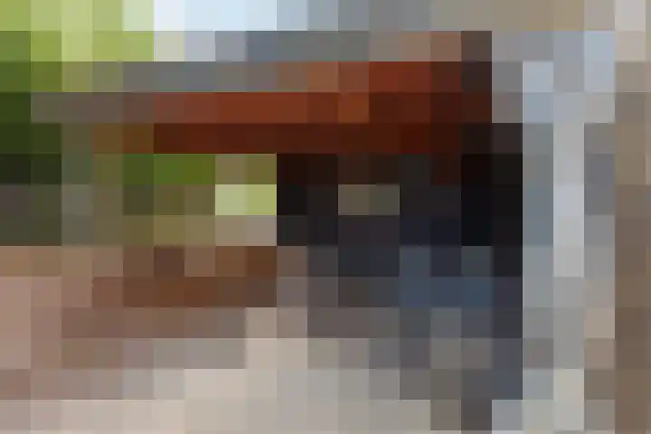 Ocker Repelaerstraat 44 Molenaarsgraaf thumbnail 34