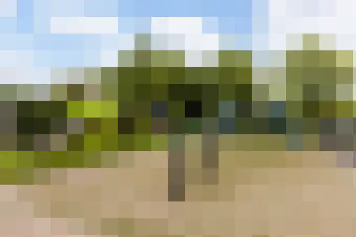 Ocker Repelaerstraat 44 Molenaarsgraaf thumbnail 35