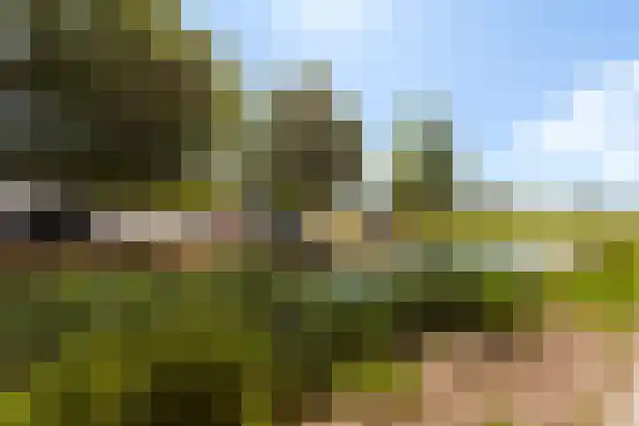 Ocker Repelaerstraat 44 Molenaarsgraaf thumbnail 36
