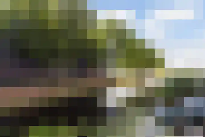 Ocker Repelaerstraat 44 Molenaarsgraaf thumbnail 38