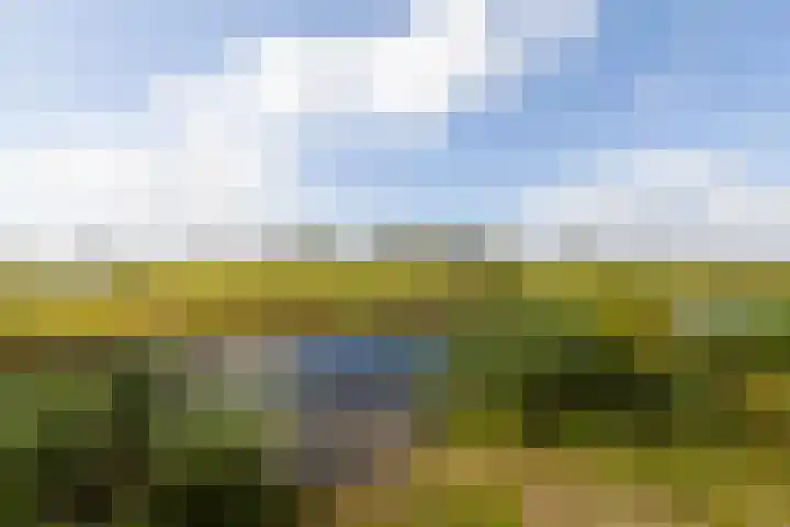 Ocker Repelaerstraat 44 Molenaarsgraaf thumbnail 39