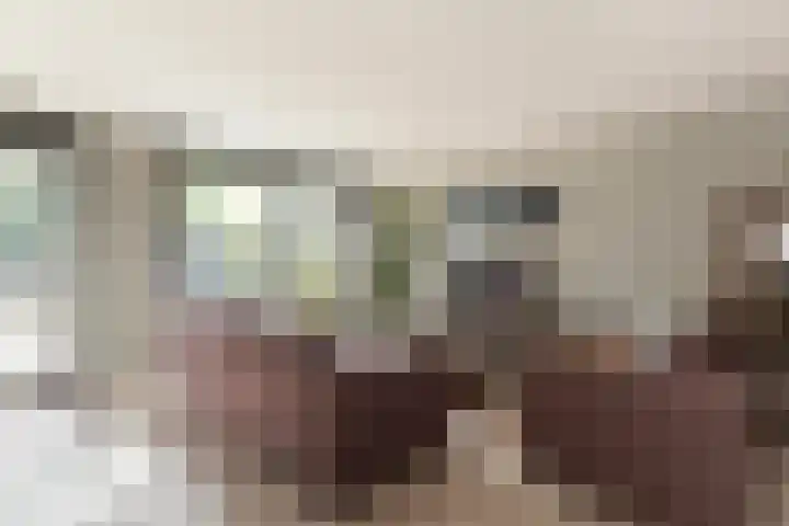 Ocker Repelaerstraat 44 Molenaarsgraaf thumbnail 5