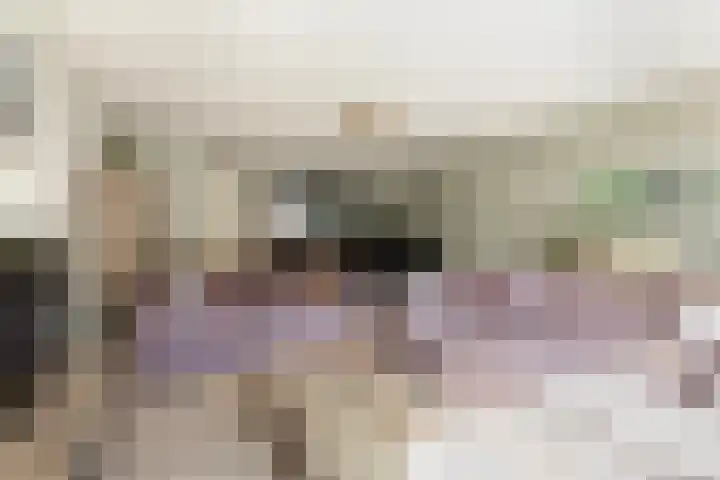 Ocker Repelaerstraat 44 Molenaarsgraaf thumbnail 6