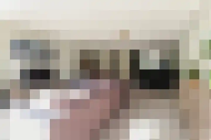 Ocker Repelaerstraat 44 Molenaarsgraaf thumbnail 7