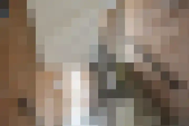 Ockingahiem 22 Franeker thumbnail 11