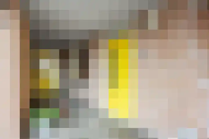 Ockingahiem 22 Franeker thumbnail 14