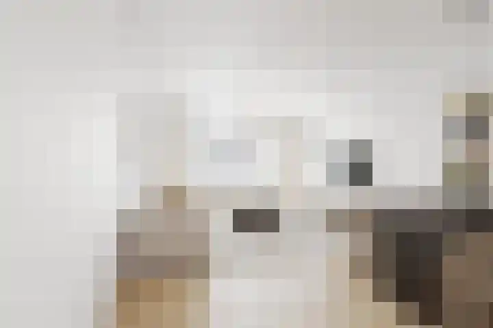 Ockingahiem 22 Franeker thumbnail 23
