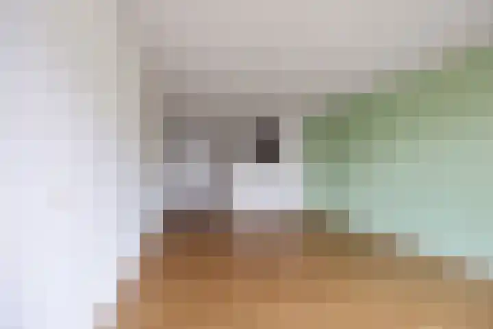 Ockingahiem 22 Franeker thumbnail 26