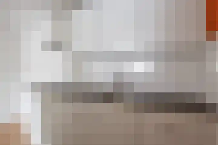 Ockingahiem 22 Franeker thumbnail 30