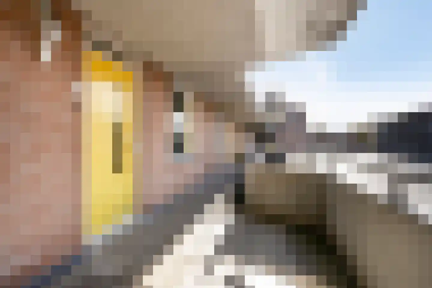Ockingahiem 23 Franeker thumbnail 5