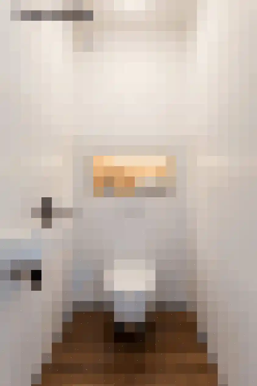 Ockingahiem 23 Franeker thumbnail 8