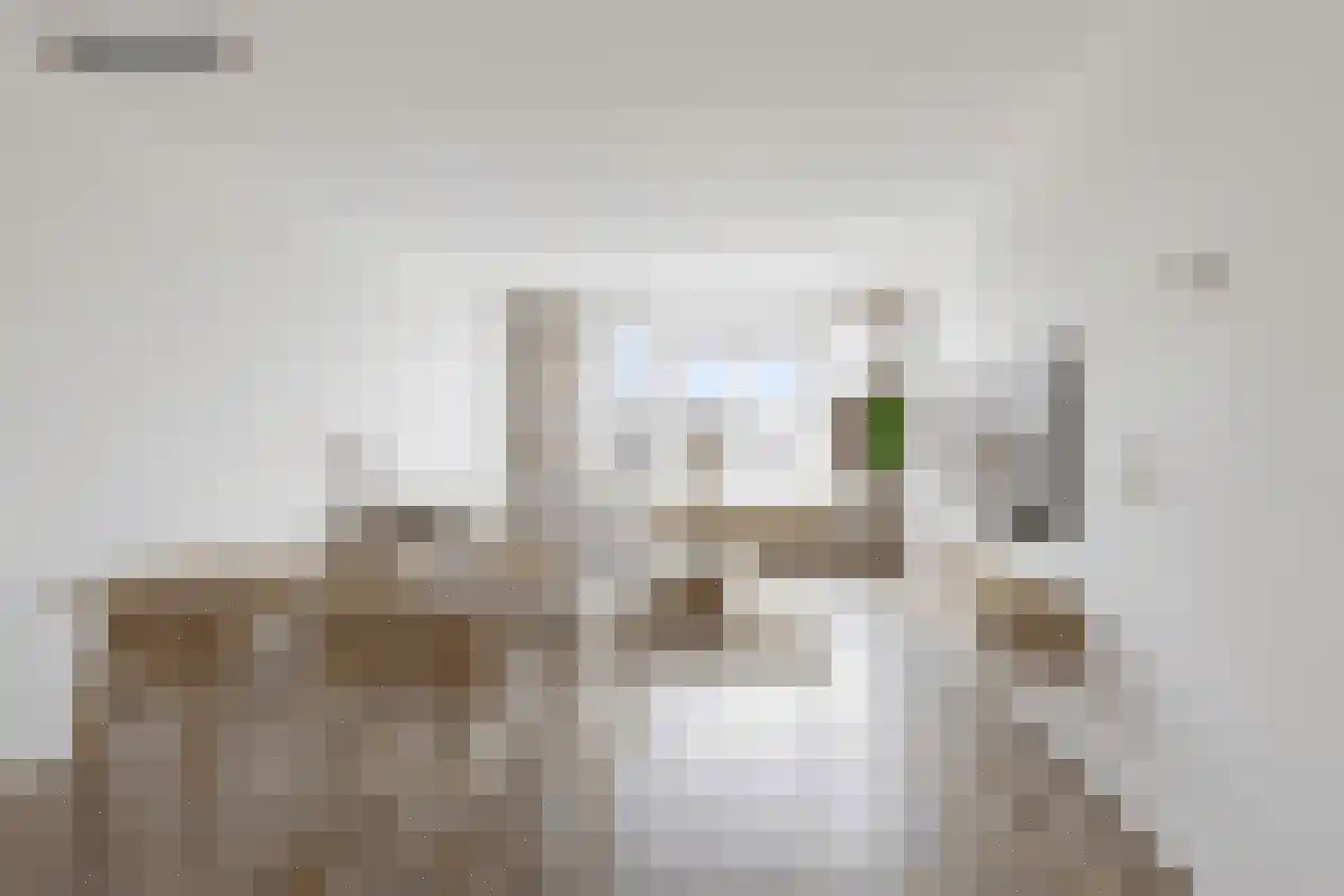 Ockingahiem 23 Franeker thumbnail 9