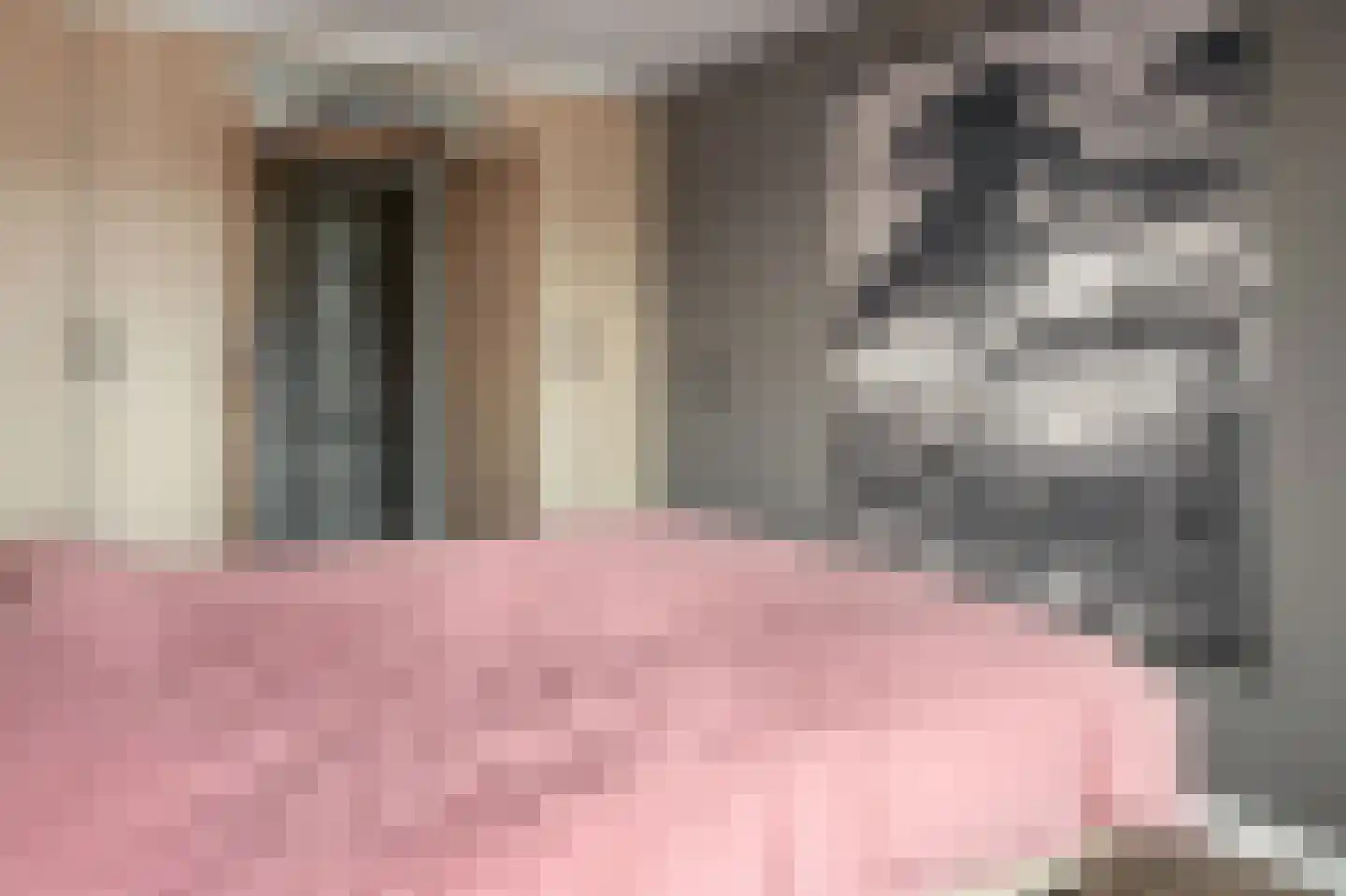 Ockingahiem 31 Franeker thumbnail 10