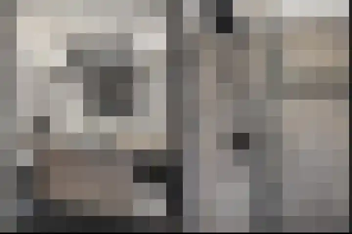 Ockingahiem 31 Franeker thumbnail 12