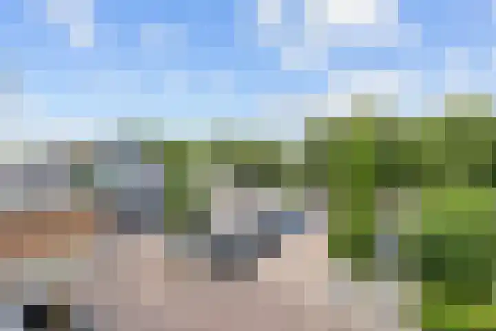 Ockingahiem 39 Franeker thumbnail 13