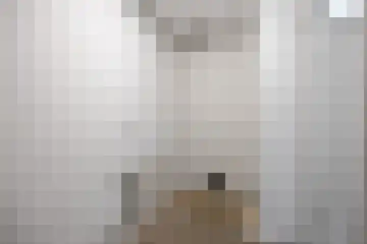 Ockingahiem 39 Franeker thumbnail 15