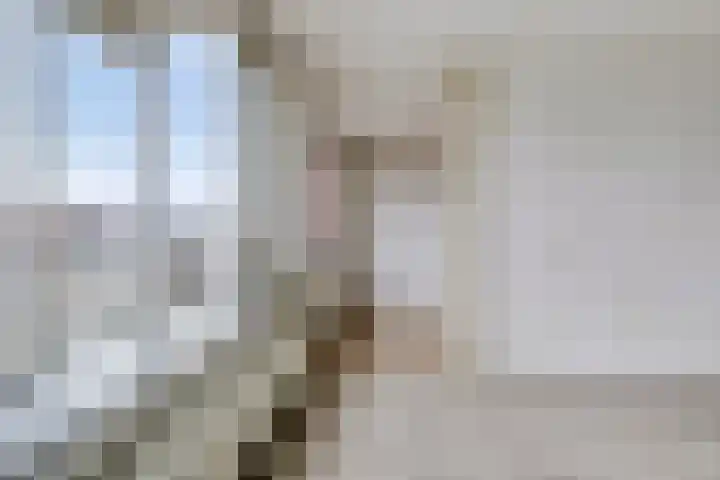 Ockingahiem 43 Franeker thumbnail 16