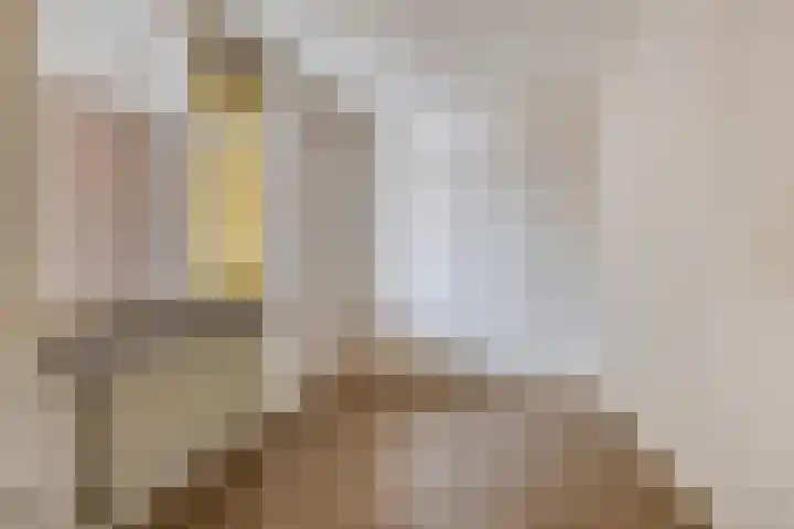 Ockingahiem 43 Franeker thumbnail 20