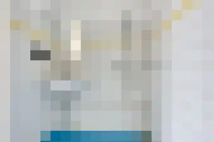 Ockingahiem 43 Franeker thumbnail 23