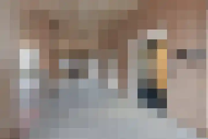Ockingahiem 43 Franeker thumbnail 26