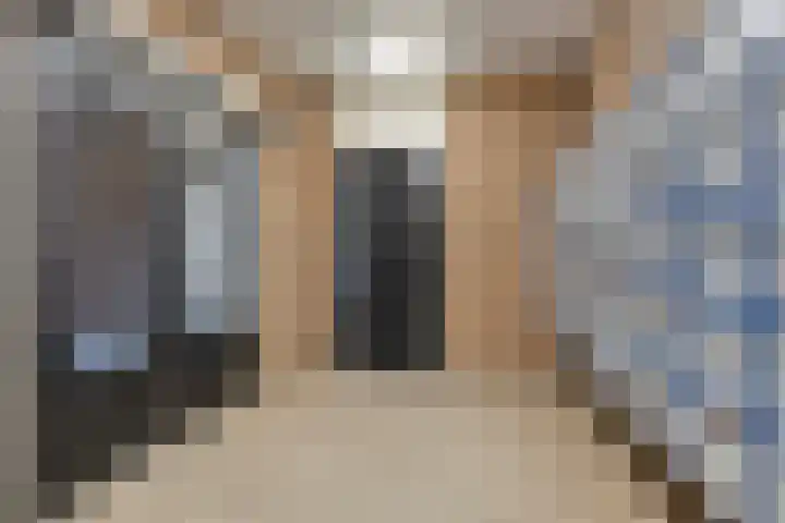 Ockingahiem 43 Franeker thumbnail 27
