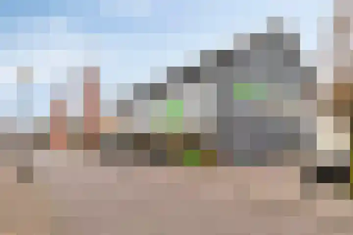 Ockingahiem 43 Franeker thumbnail 30