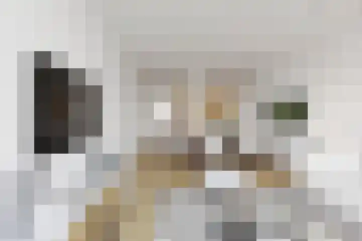 Ockingahiem 43 Franeker thumbnail 5