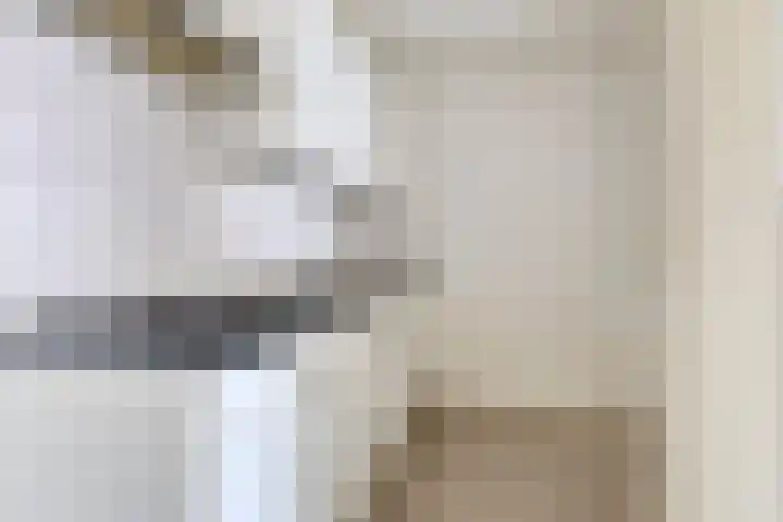 Ockingahiem 43 Franeker thumbnail 6