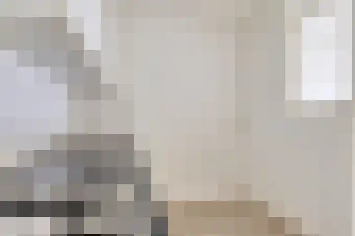 Ockingahiem 43 Franeker thumbnail 8