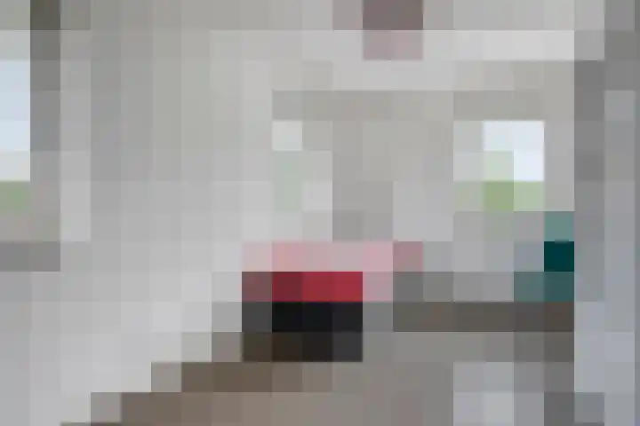 Octaafstraat 6 Rosmalen thumbnail 22