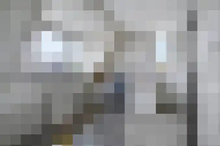 Octaafstraat 6 Rosmalen thumbnail 29