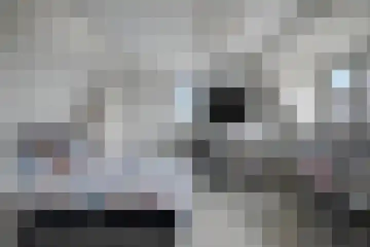 Octaafstraat 6 Rosmalen thumbnail 34