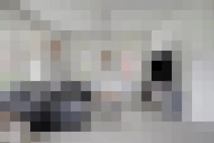 Octaafstraat 6 Rosmalen thumbnail 8