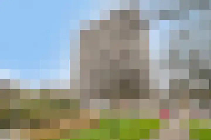 Octant 12 Dordrecht thumbnail 27